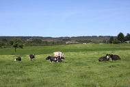 Serra da Cova da Serpe